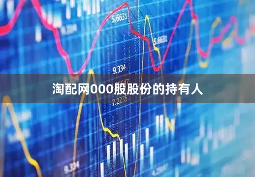 淘配网000股股份的持有人