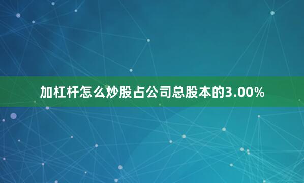 加杠杆怎么炒股占公司总股本的3.00%