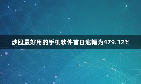 炒股最好用的手机软件首日涨幅为479.12%