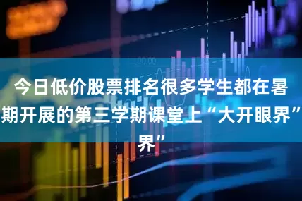 今日低价股票排名很多学生都在暑期开展的第三学期课堂上“大开眼界”