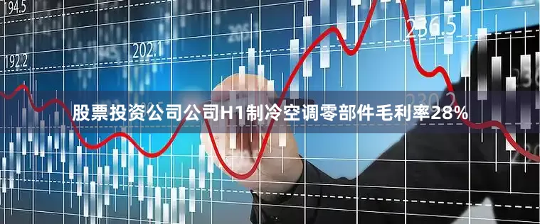 股票投资公司公司H1制冷空调零部件毛利率28%