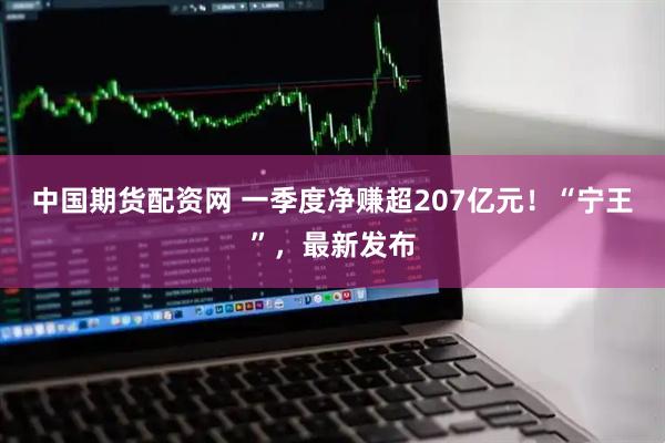 中国期货配资网 一季度净赚超207亿元！“宁王”，最新发布