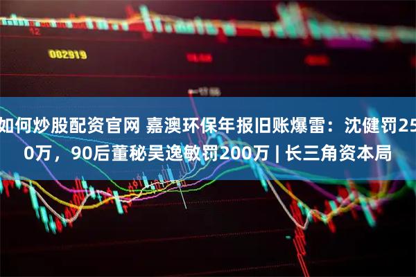 如何炒股配资官网 嘉澳环保年报旧账爆雷：沈健罚250万，90后董秘吴逸敏罚200万 | 长三角资本局